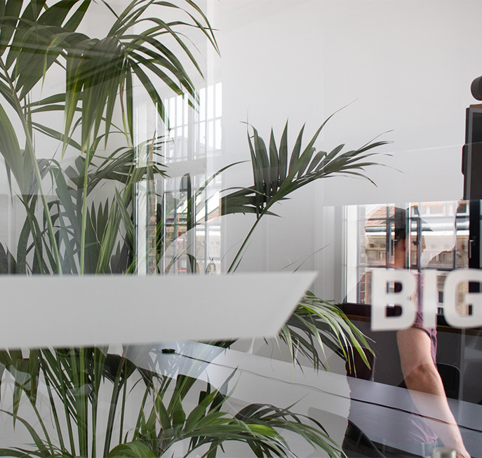 large palm seen through a glass wall with reflections of the office windows (Photo)